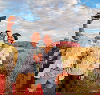 2-Day Uluru Ayers Rock and Kings Canyon Tour from Alice Springs - Hotel Accommodation