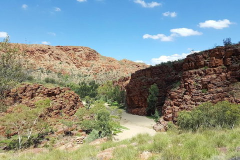 East MacDonnell Ranges 1 Day 4WD Tour - Hotel Accommodation 2