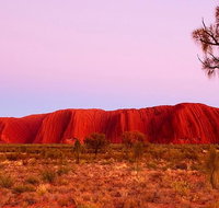Best of Ayers Rock Sunset Uluru and Sunrise Kata Tjuta Small Group Tours - Hotel Accommodation