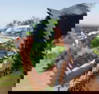 Scenic Hunter Valley Winery Tour with Boutique Wineries  Local Cheese - Hotel Accommodation