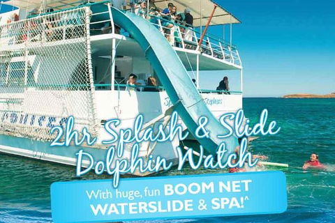 Port Stephens Dolphin Watching Cruise Including Splash And Slide - Hotel Accommodation 0