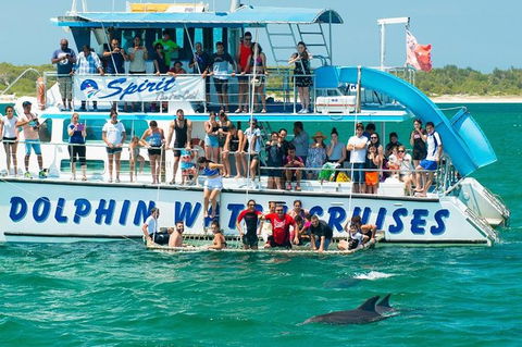Port Stephens Dolphin Watching Cruise Including Splash And Slide - Hotel Accommodation 1