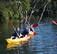 Kayak and SUP Guided Tours - Hotel Accommodation