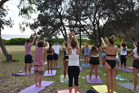 5-Day Byron Bay And Evans Head Surf Adventure From Brisbane, Gold Coast Or Byron Bay - Hotel Accommodation 3