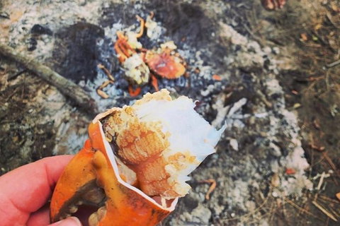 Pot To Plate Adventure - Hotel Accommodation 4