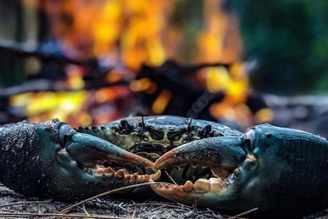 Pot To Plate Adventure - Hotel Accommodation 11