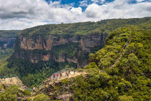 Stray Australia: Blue Mountains - Day Tour