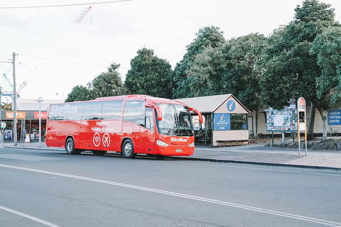 SkyBus Byron Bay Express - Hotel Accommodation 1