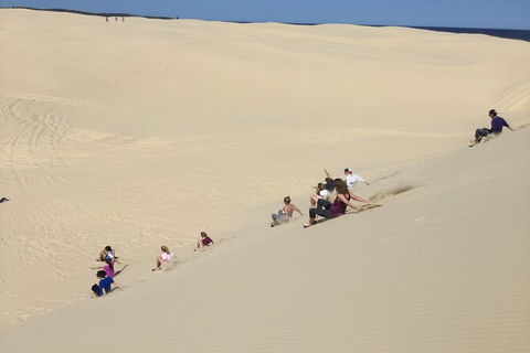 Port Stephens Bush, Beach And Sand Dune 4WD Passenger Tour - Hotel Accommodation 2