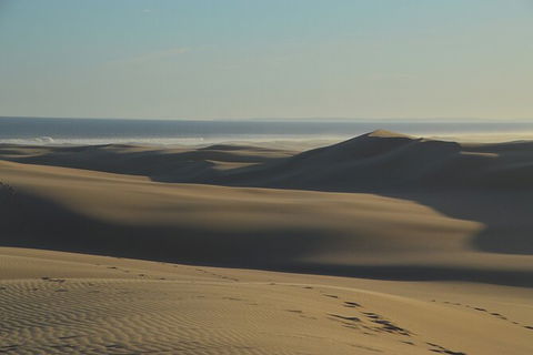 Port Stephens Bush, Beach And Sand Dune 4WD Passenger Tour - Hotel Accommodation 6