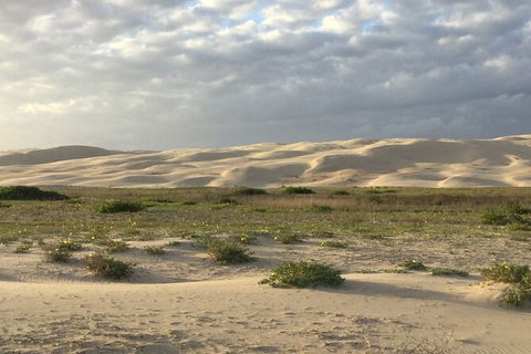 Port Stephens Bush, Beach And Sand Dune 4WD Passenger Tour - Hotel Accommodation 3