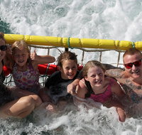 Jervis Bay Boom Netting and Dolphins Tour - Hotel Accommodation