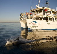Jervis Bay Dolphin Watch Cruise - Hotel Accommodation