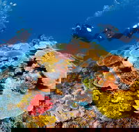 Agincourt Reef - Hotel Accommodation