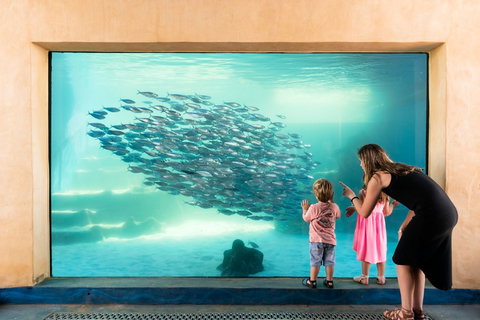 AQWA The Aquarium Of Western Australia - Hotel Accommodation 0