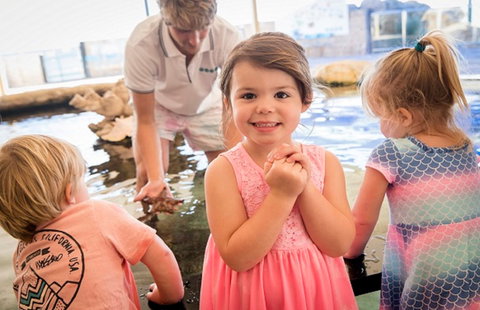 AQWA The Aquarium Of Western Australia - Hotel Accommodation 2