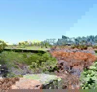 Bladensburg National Park