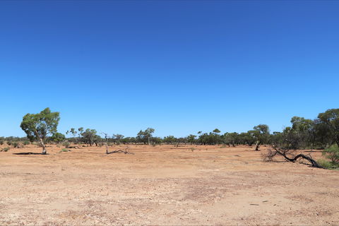 Bladensburg National Park - Hotel Accommodation 1