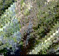 Carrai National Park - Hotel Accommodation