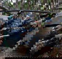 Delta Force Paintball Appin - Hotel Accommodation