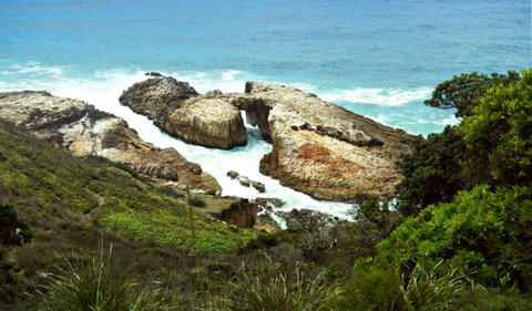 Diamond Head Loop Walk - Hotel Accommodation 0