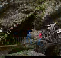 Dig the Tropic - Hotel Accommodation