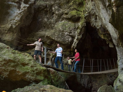 Dig The Tropic - Hotel Accommodation 0