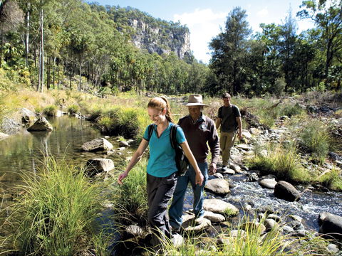 Dig The Tropic - Hotel Accommodation 1