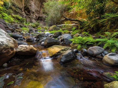 Dig The Tropic - Hotel Accommodation 2