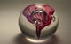Eclectic Designs Glass Blowing Studio - thumb 0