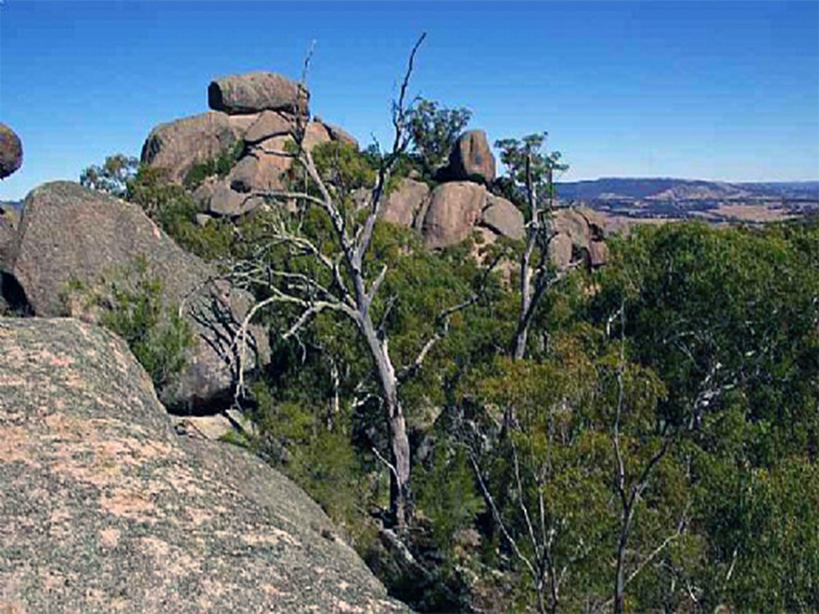 Tarana NSW Hotel Accommodation