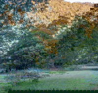 Griffins walking track - Hotel Accommodation