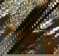 Gulaga National Park