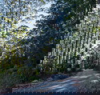 Hastings Forest Way Touring Route - Hotel Accommodation