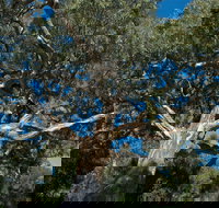 Holey Plains State Park - Hotel Accommodation