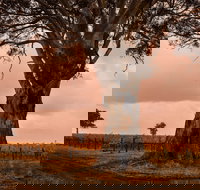 Hynam - Hotel Accommodation