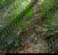 Iluka Nature Reserve