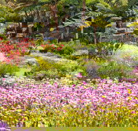 Jurassic Garden AR Experience - Hotel Accommodation