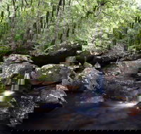 Kangaroo River - Hotel Accommodation