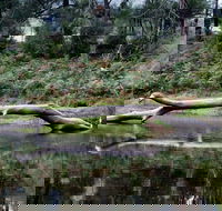 Kayaking Upper Tuross River and Bumbo Lake