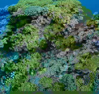 Keeper Reef Dive Site - Hotel Accommodation