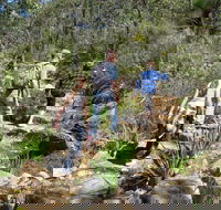 Kitty's Gorge Serpentine National Park - Hotel Accommodation