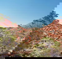 Lark Quarry Conservation Park