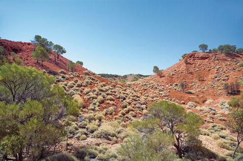 Lark Quarry Conservation Park - Hotel Accommodation 0