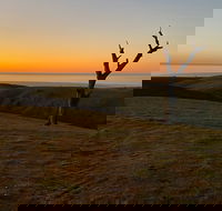 Lessismore Farm Afternoon Farmer