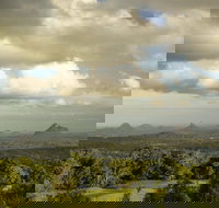 Mary Cairncross Scenic Reserve Rainforest Walk - Hotel Accommodation