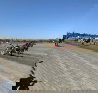 Marburg Pacing Association