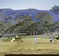 Megalong Valley - Hotel Accommodation