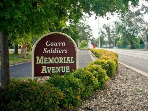 Memorial Avenue In Cowra - Hotel Accommodation 0