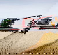 Mullaley - Hotel Accommodation